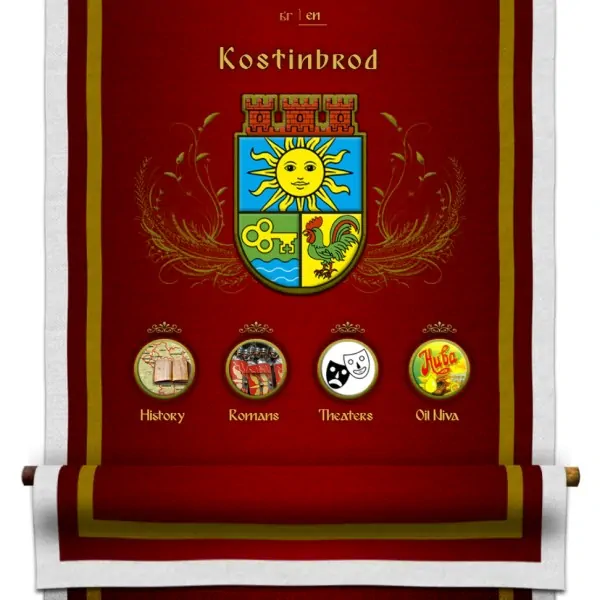 Уеб проект Костинброд